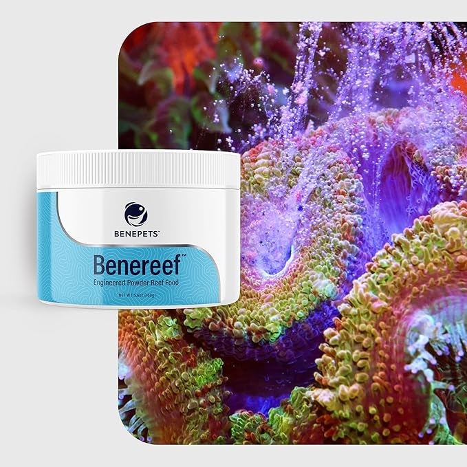 Benereef 160g Jar
