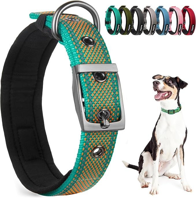 PetiFine Dog Collar for Large Dogs, Neoprene Padded and Adjustable, Reflective Wide Heavy Duty Pet Collars with Durable Metal Belt Buckle for Walking, Teal&Orange, L