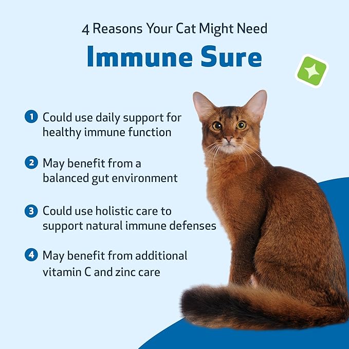 Pet Wellbeing Immune Sure for Cats - Supports Normal Immune Defenses, Gut Flora Balance, Andrographis, Echinacea, Vitamin C, Zinc - Veterinarian-Formulated Herbal Supplement 4 oz (118 ml)