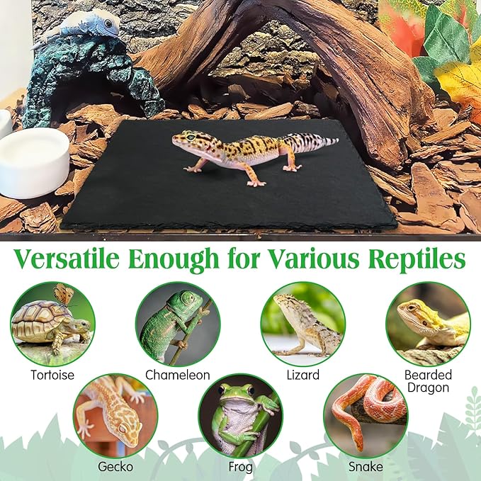 Tfwadmx Reptile Basking Platform, Tortoise Feeding Dish, Natural Rock Reptile Food Bowl Landscape Habitat Decor for Turtle Lizard Bearded Dragon Crested Gecko Snake