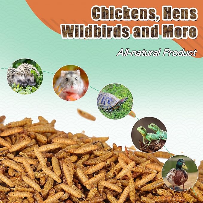 Dried Black Solidier Fly Larvae 11LBS, 85X More Calcium Than Mealworms High-Protein BSF Larvae Chicken Treats Non-GMO BSFL for Chickens, Hens, Ducks, Wild Birds