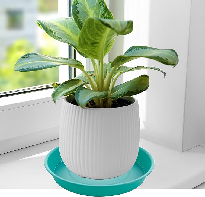 6 Pack of 10 inch Plant Saucer Blue, Heavy Duty Plastic Plant Saucer 10 inch Round, Flower Plant Saucers for Indoors, Plant Trays for Planter 8"/9"/10" (10", Teal)