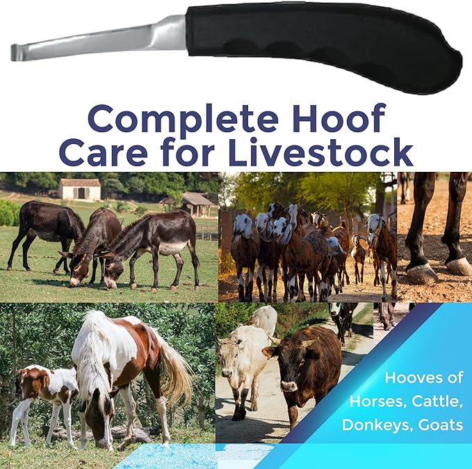Regular Hoof Knife for Horses – Farrier Tool with Plastic Grip – Hoof Trimming Knife for Equine Care & Veterinary Use (Left Hand)