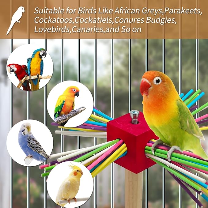 Bird Perch Toy for Cage,Spinning Windmill Bird Perch Toy,360° Rotating Chewable Stand with Grinding Sticks,Interactive Cage/Tabletop Training Toy for Parakeets,Cockatiels,Lovebirds (Mixcolor, Square)