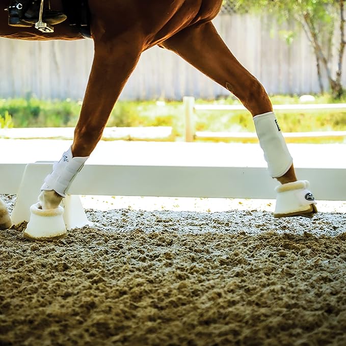 Professional's Choice Ventech Brushing Boots | All-Purpose Horse Boots | Hook & Loop Closure | Sold in Pairs