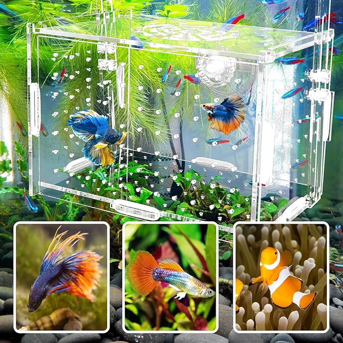 Hamiledyi Acrylic Breeding Isolation Box - Transparent Aquarium Hatchery for Guppy/Shrimp/Small Fish, Safe Nursery Tank with Air Tube & Suction Cups(5.9" × 3.9" × 3.9")