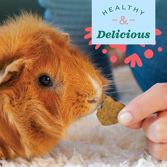 Oxbow Simple Rewards Baked Cranberry Treats, Rabbit & Guinea Pig Treats Made with Timothy Hay, Healthy Guinea Pig, Hamster & Bunny Snack, Timothy for Rabbit, Made in USA, 3 oz Bag