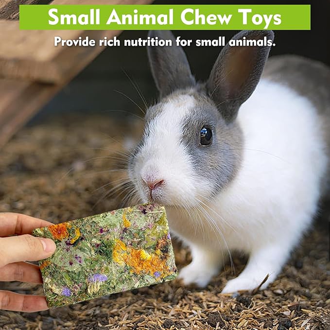 Fhiny Rabbit Chew Toys, 33 PCS Natural Guinea Pig Chew Toys for Teeth Handmade Small Animal Timothy Molar Sticks & Cakes Bunny Snacks Hamster Treats for Guinea Pig Bunny Chinchilla Hamster Gerbil