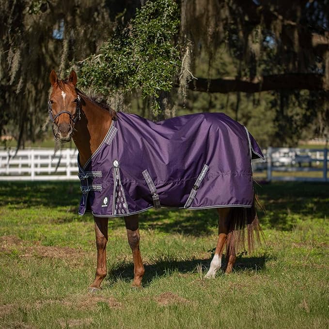 Equinavia Norse Lightweight 100g Fill Horse Rain Blanket | Waterproof Turnout Sheet - Black - 66 in - Grape Purple - 69 in