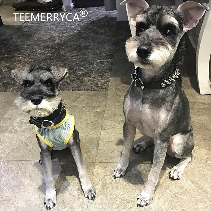 TEEMERRYCA Adjustable Microfiber Leather Spiked Studded Dog Collars with a Squeak Ball Gift for Small Medium Large Pets Like Cats/Pit Bull/Bulldog/Pugs/Husky, Black, XXL 19.7-22.4 inches