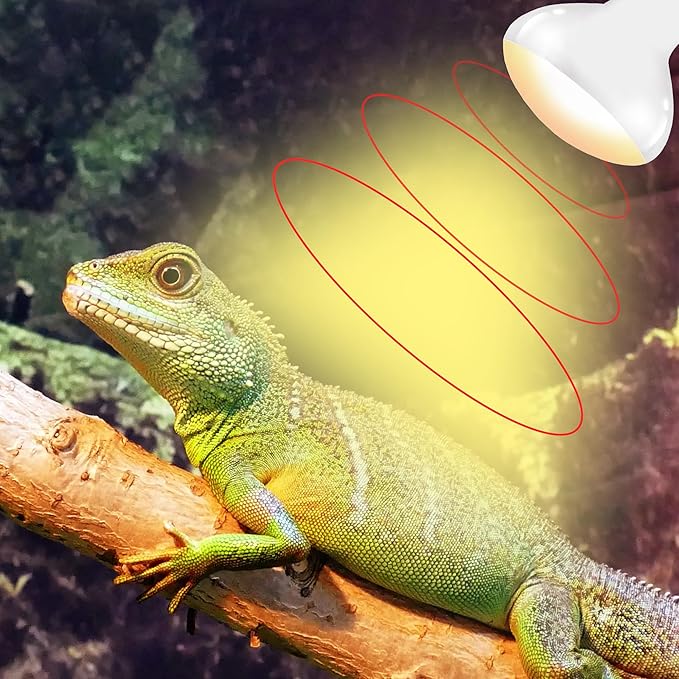 60W E26 Reptile Heat Lamp Bulbs, Upgraded UVA Basking Spot Light for Bearded Dragon, Lizard, Tortoise, Chicks & Amphibians - Simulated Natural Sunlight, Daylight Bulb fot Terrarium | 2 Pack