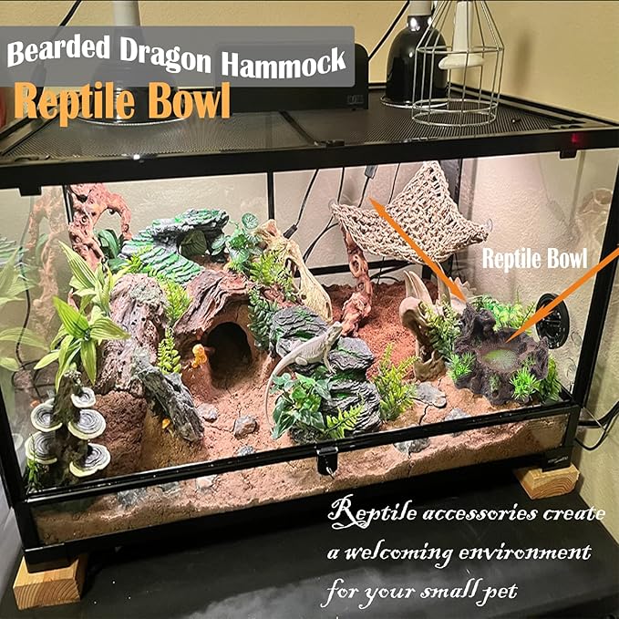 kathson Resin Reptile Bowl Bearded Dragon Food Dish Lizard Water Dish Reptiles Feeding Bowls with Feeder Tweezer for Leopard Gecko Tortoise Chameleon Water Frog Hermit Crab
