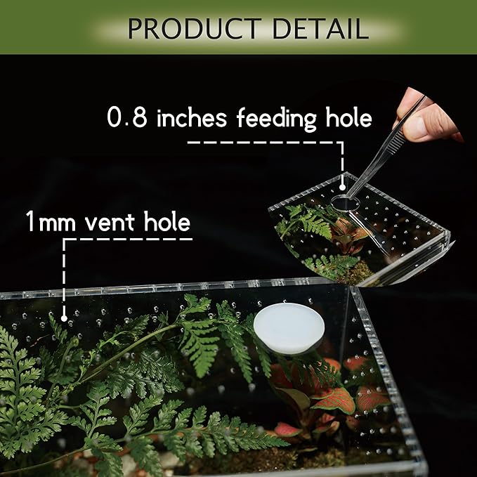 Acrylic Terrarium for Reptiles & Spiders – Small/Medium/Large Leak-Proof Enclosure (Horizontal/Vertical) | Ideal for Tarantulas, Jumping Spiders, Frogs & Geckos(Small Horizontal)