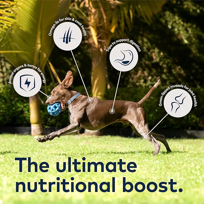 ZIWI Peak Beef Dry Dog Food Bundle- Steam & Dried Beef w/Pumpkin (28.8oz) + Air-Dried Beef (16oz)