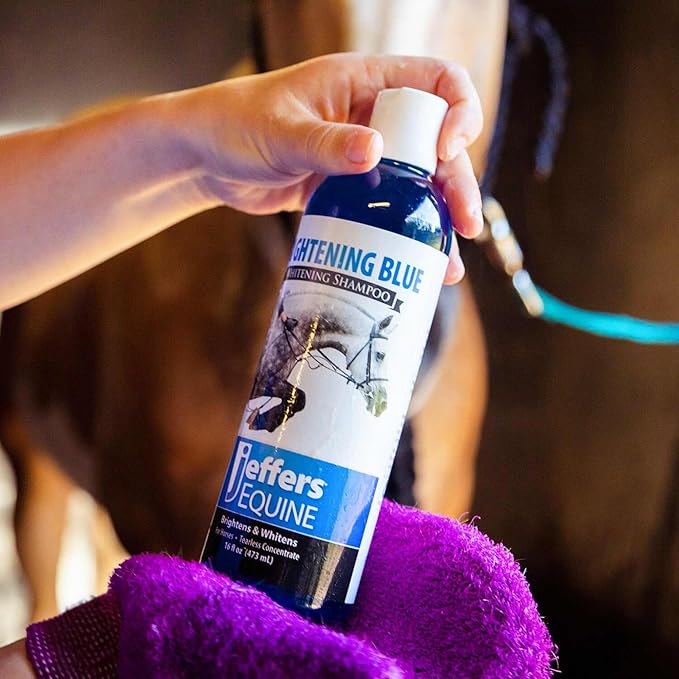 Jeffers Equine Brightening Blue Shampoo for Horses, 16 oz - Stain Remover, Coconut Oil, Aloe, Gentle Grooming, Detergent - Free, Enhances Coat Shine, Mane & Tail Care