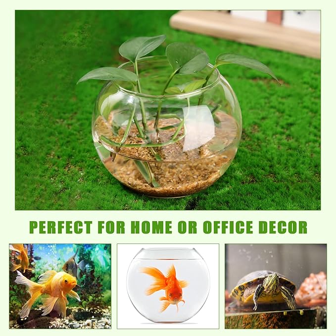 Zopeal 12 Pcs Fish Bowl Vase Glass Bubble Bowl Globe Glass Clear Bubble Vase Round Terrarium Goldfish Flower Centerpiece for Wedding Event Arrangement Office Home (3.5" h X 4.7" w)