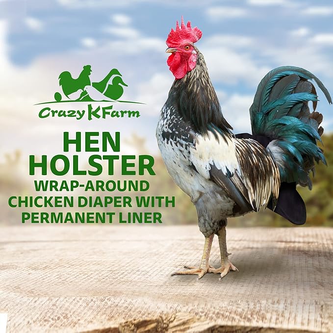 Hen Holster Bird Diaper, Wrap Around - for Hens, Roosters, Ducks, Geese, Leak-Proof Design, Comfortable Fleece Strap Bird Harness with Sewn-in Liner, Secure Hook and Loop Closure - S/M, Black