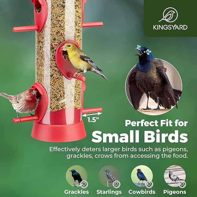 Kingsyard 2 Pack Tube Bird Feeder for Outdoors Hanging, Removable Base and Perch, 6 Feeding Ports - Easy to Clean, Premium Hard Plastic, Attracting for Finches Cardinals (Red)