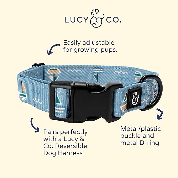 Lucy & Co. Set Sail Adjustable Dog Collar- Cute Designer Pet Collar for Small, Medium, Large Dogs- Buckle Closure Dog Accessories, Small, Blue with Green & Yellow Sailboats