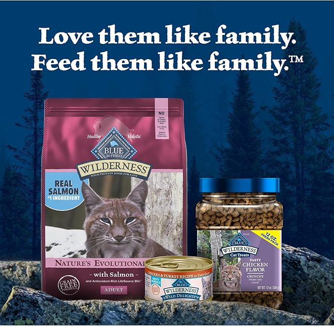 Blue Buffalo Wilderness Natural High Protein, Grain Free Dry Food for Adult Cats, Salmon, 11-lb Bag