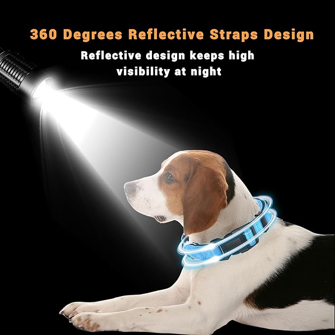 2 Pack Reflective Dog Collar with Safety Locking Buckle, Adjustable Soft Breathable Comfortable Nylon Pet Collar for Small, Medium and Large Dogs, SkyBlue, M