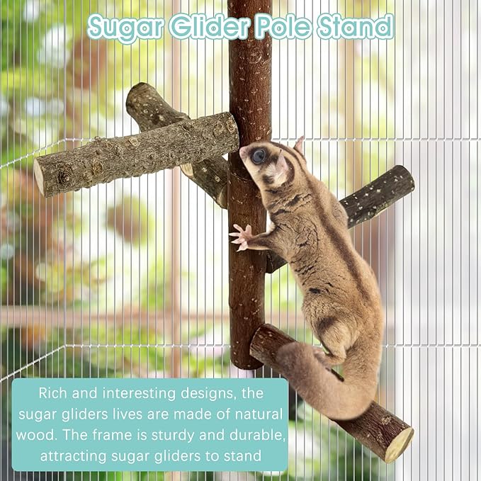 BNOSDM Sugar Glider Toy Natural Fruitwood Perch Stand Squirrel Hanging Wooden Climbing Pole Hamster Paw Grinding Perch Small Animal Cage Accessories for Chinchillas Rats Gerbil