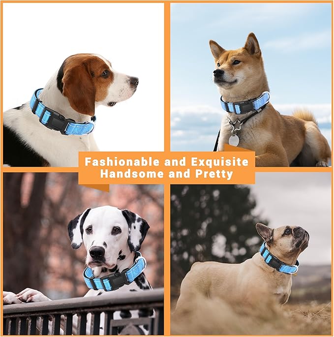 2 Pack Reflective Dog Collar with Safety Locking Buckle, Adjustable Soft Breathable Comfortable Nylon Pet Collar for Small, Medium and Large Dogs, SkyBlue, XS