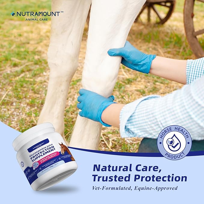 Glucosamine for Horses Joint Supplement for Horses Glucosamine Chondroitin Support Cartilage Health & Joint Mobility Horse Supplements 750g