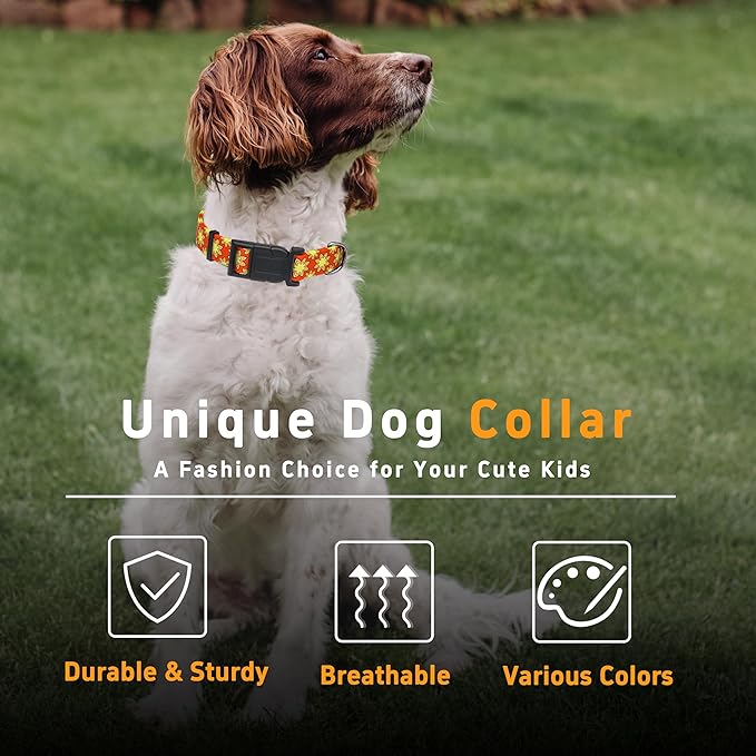 Dog Collar, Classical Indian Spirit Boys Girls Puppy Collar for Small Medium Large Dogs, Adjustable Soft Indian Pet Collar with Safety Buckle for Male Females(Yellow,M)