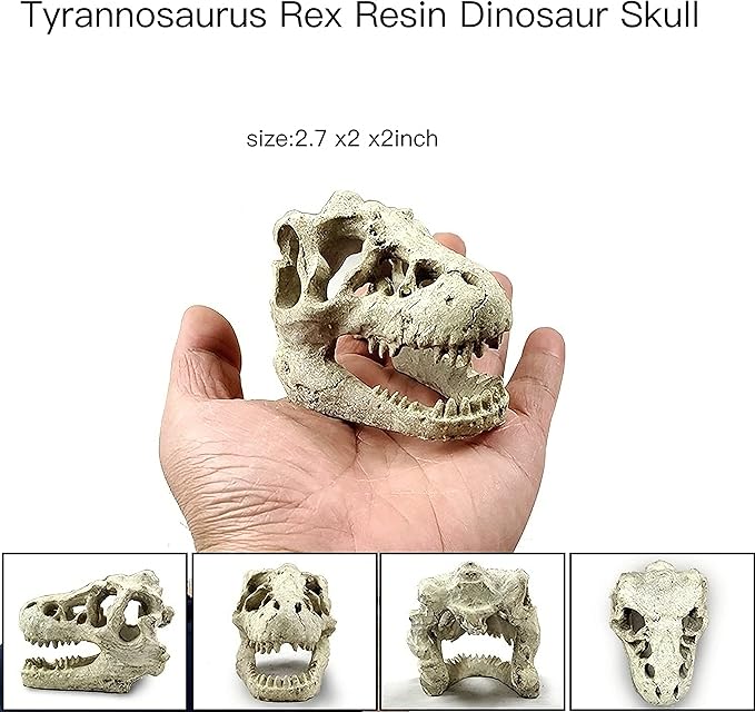 Desert Reptile Skull Fish Tank Decorations - Bearded Dragon Accessories, Snake Tank Decor (Human + Dinosaur)