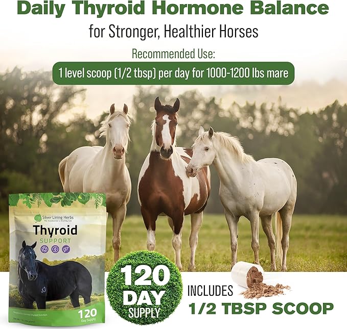 Silver Lining Herbs Thyroid Support for Horses – Herbal Horse Supplement for Normal Thyroid Function, Hormone Balance & Healthy Metabolism with Irish Moss, Kelp, Parsley – 120-Day Supply
