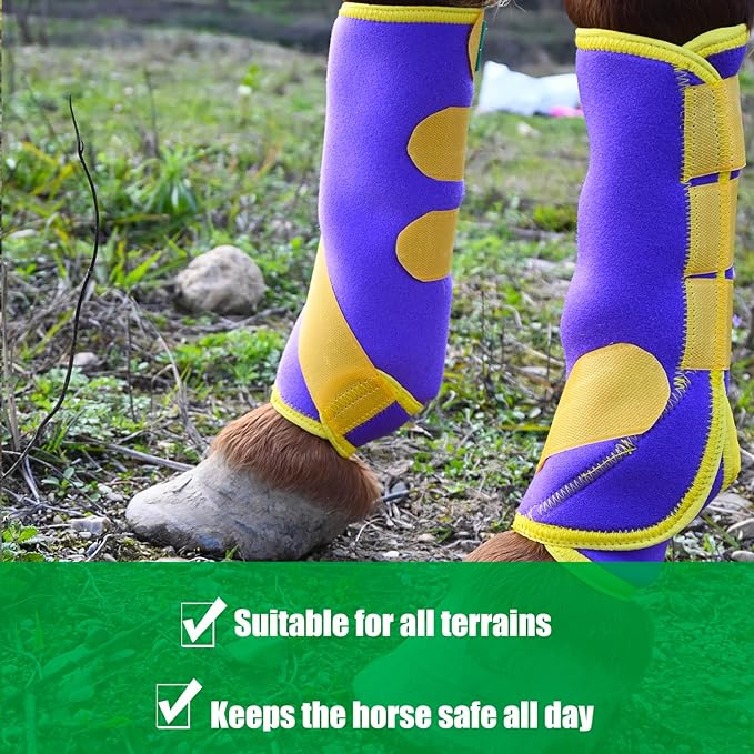 Equine Sport Horse Boots Set of 4 – Neoprene Leg Protection with Durable Hook & Loop Straps, Breathable & Comfortable Fit for Training, Riding, and Performance（Purple, Large）