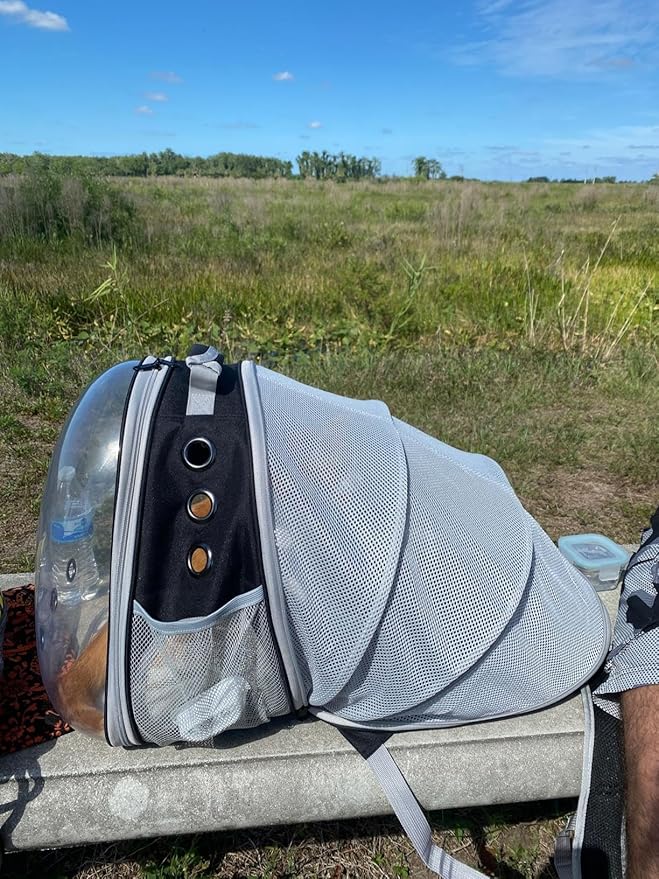 halinfer Back Expandable Cat Backpack Carrier, Fit up to 12 lbs, Space Capsule Bubble Window Pet Carrier Backpack to Carry and Transport Cat Bunny Small Puppy