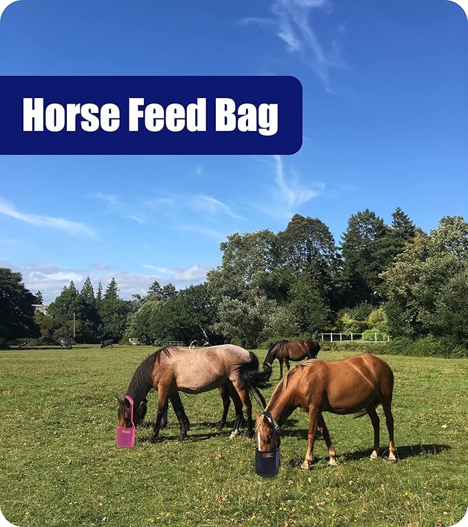 Horse Feed Bag for Grain