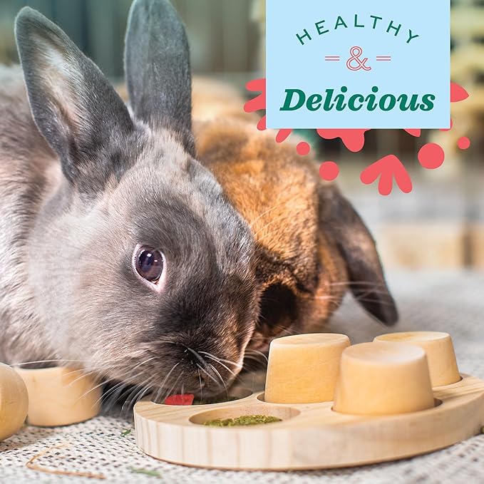 Oxbow Simple Rewards Small Pet Treats, Freeze Dried Fruit, Guinea Pig & Bunny Treats, Healthy Pet Fruit Snack for Rabbit & Guinea Pig, Freeze Dried Strawberries, 0.5 oz Bag