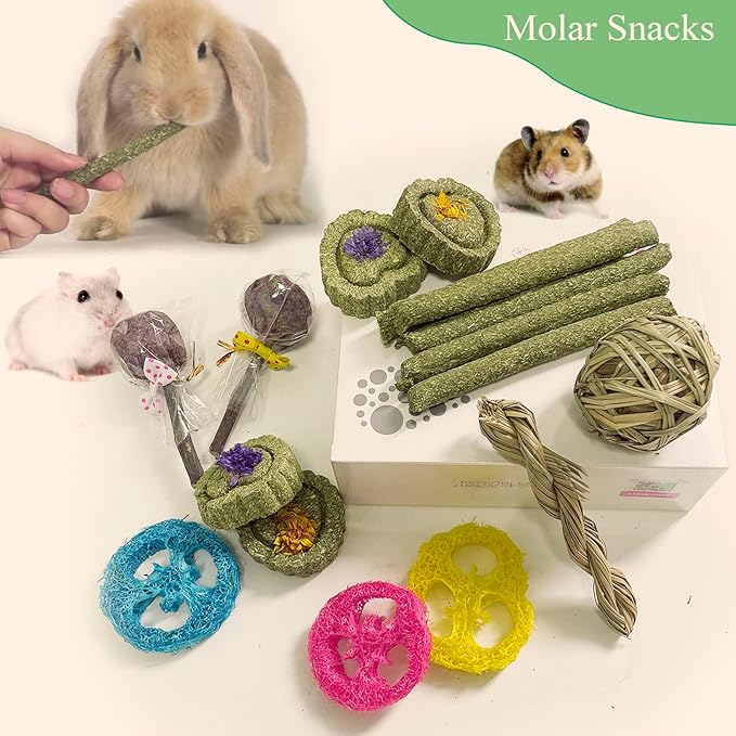 Rabbit Chew Toys for Teeth, 16PCS Natural Timothy Hay Chew Toy, Improve Dental Health for Bunny/Chinchilla/Guinea Pig/Hamsters/Holland Lop, Small Rodent Pet Molar Teeth Treats Toys