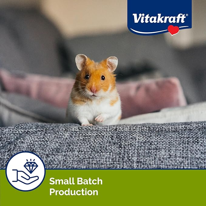 Vitakraft Drops Mini Banana & Cherry Flavor Dwarf Hamster, Rat, and Mouse Treat, 2.5 oz, Multi