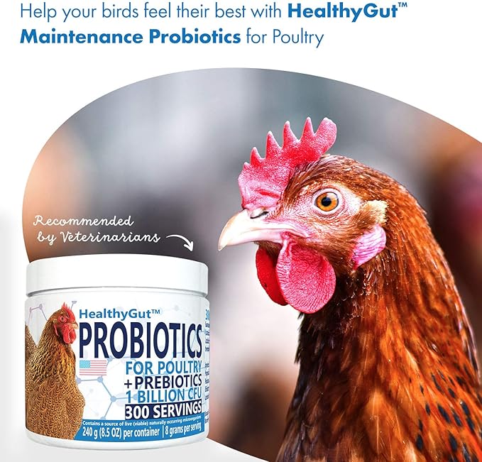 HealthyGut Probiotics for Chickens & Poultry, All-Natural Digestive System Dietary Supplement (30 Scoops)