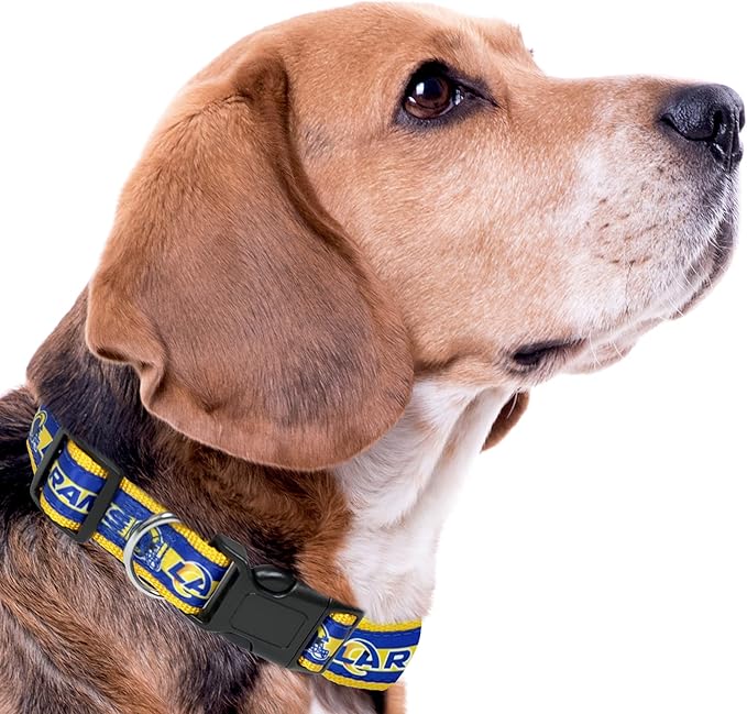 NFL PET Collar Los Angeles Rams Dog Collar, Medium Football Team Collar for Dogs & Cats. A Shiny & Colorful Cat Collar & Dog Collar Licensed by The NFL