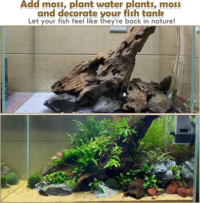 PINVNBY Natural Large Driftwood for Aquarium Reptile Terrarium Decor Decorations Assorted Branches Bearded Dragon Tank Accessories (11.5-16 inches/1 Pack)