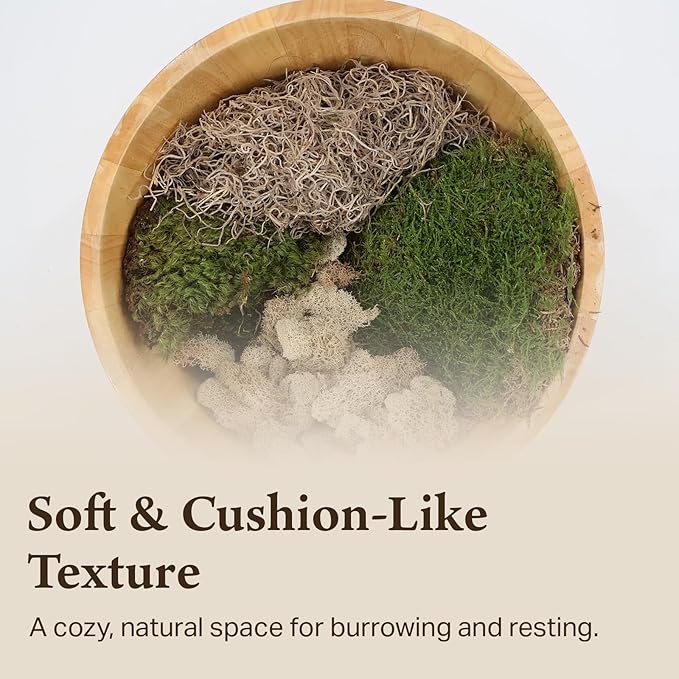 The Habitat Life - Natural Variety Pack - Mix of Reindeer, Mood, Sheet & Spanish Moss - for All Terrariums - Humidity Control - Breathable Bedding - Dye-Free & Safe - Medium - 1 Pack