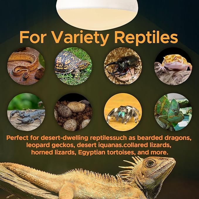 Reptile Heat Lamp 2Pack 50W Reptile Sun Lamp Self-Ballasted Vapor Basking Spot Lamp/Bulb/Light for Reptile and Amphibian E26