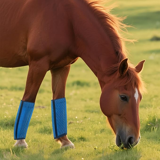 Horse Fly Boot,Loose Fitting Fly Boots for Horses Set of 4,Leggings for Horse Design Protect Horses Legs No More Horsefly Nuisance Greatly&Reduce Stressful Stomping,Breathable/Universal