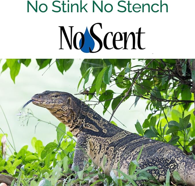 No Scent Reptile Tank Cleaner Spray & Pet Odor Management for Bearded Dragon, Turtle, Lizard Terrarium Freshener (32 Fl Oz / 946 mL)