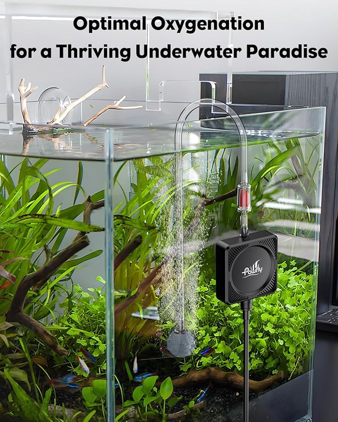 Pawfly Mini Aquarium Air Pump, Ultra Quiet Oxygen Aerator Kit for 1-15 Gallon Fish Tanks with Air Tubing, Air Stone, Check Valve & Suction Cups
