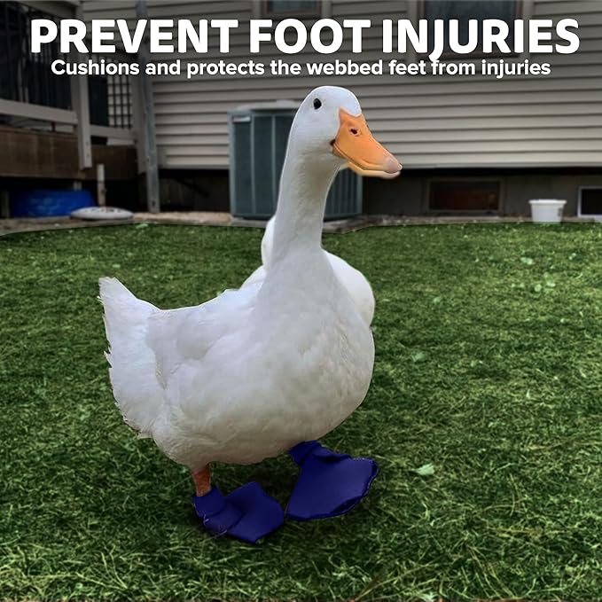 Duck Shoes for Injured Feet – Protective Neoprene Footwear for Ducks, Protective Shoes for Birds with Injured feet, Bumblefoot Relief - XL, 5.75” Max. Inside Width - Navy