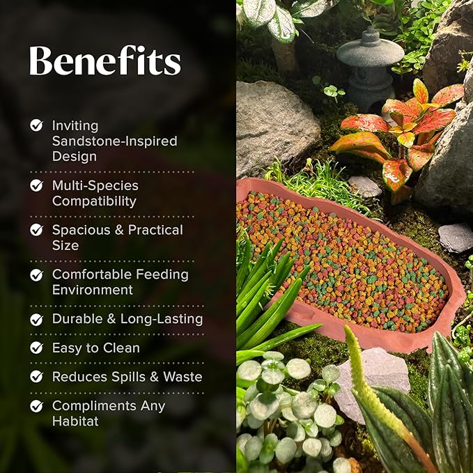 Gecko Cave Reptile Feeding Tray – Naturalistic Pet Dish for Lizards, Snakes, Bearded Dragons, Tortoises & Turtles - Terracotta