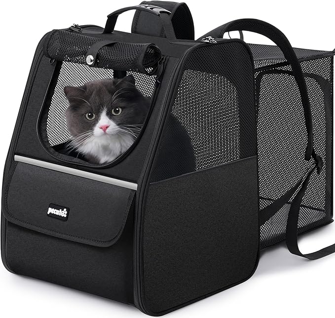 Pecute Cat Backpack Carrier, Expandable Cat Backpack for Cats Dogs up to 11 lbs, Pet Travel Backpack for Small Dogs Medium Cats, Cat Carrier with Ventilated Mesh, Safety Leash, Hiking Outdoor, Black