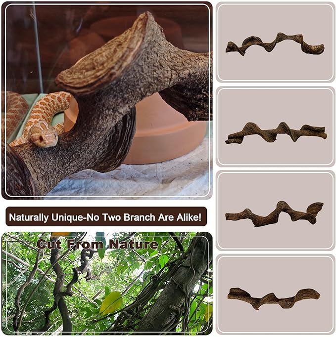 BNOSDM 2Pcs Natural Reptile Climbing Branches Decor,1.3-1.8" Thick Natural Snake Climbing Forest Wood with Plant Leaf Decor,Lizard Forest Branch,Geckos Tank Tree Trunk Accessories for Bearded Dragons