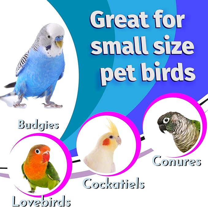 8007 Pk20 1 Inch Ring Donut - Classic Compressed Cardboard Chewable Bird Foot Toys, Easy for Pets to Grab and Chew, Great for Small Size Birds Cockatiels Budgies
